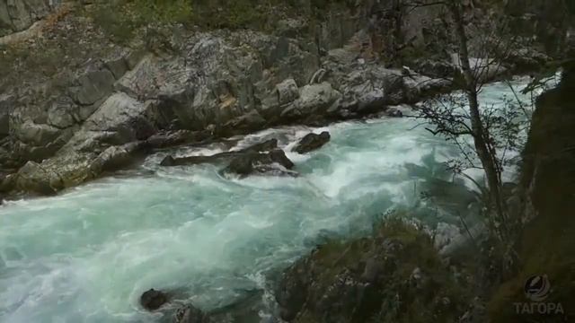 ИСЦЕЛЯЮЩИЙ НАСТРОЙ. Георгий СЫТИН. Видео от ТаГоры