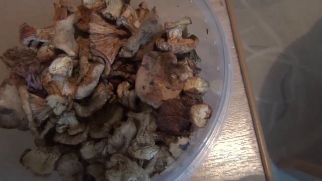 Иллюстрации и Комиксы