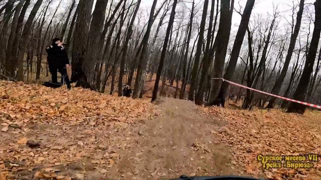 Сурское месево 7 \ Бирюза смотреть онлайн