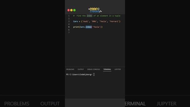 FIND the index of an element in a tuple // Python Tips #python #coding #programming смотреть онлайн