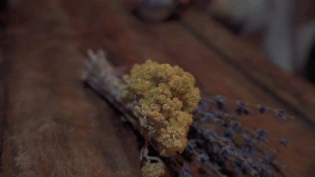 DACHA SPACE WINTER SEASON 2021 смотреть онлайн