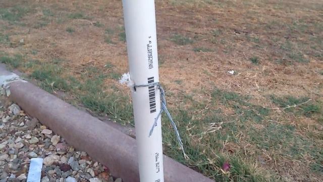 119 degrees protecting your young plumeria смотреть онлайн