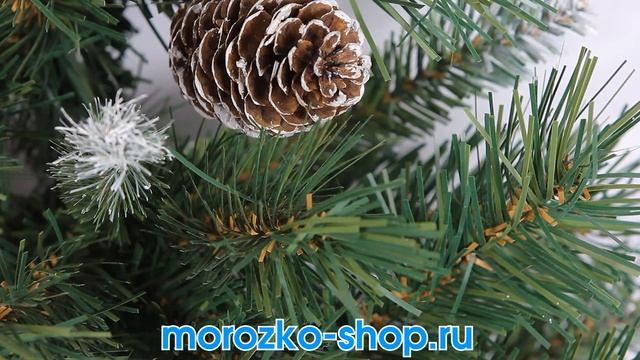 Ель настенная СКАЗКА в корзине, с ягодами и шишками 71 см, National Tree Co 31FRB28/FRB-28HT смотреть онлайн