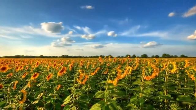 Светлана Пономарёва" Made in Russia " (cover version Ирины Аллегровой ) смотреть онлайн