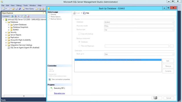 305 3 Backing Up and Restoring MS SQL Database смотреть онлайн