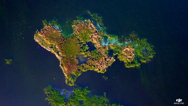 Птичий островок на озере Курлады смотреть онлайн