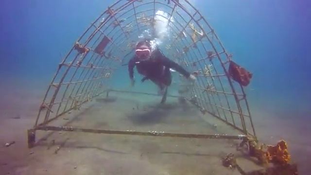 Fun Dive (another experience)(8) смотреть онлайн