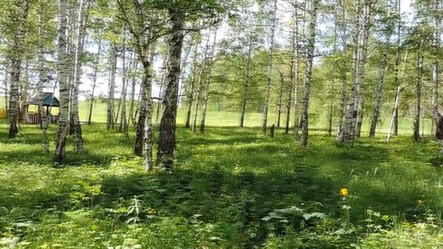 Эльдар РЯЗАНОВ//ЧТО ТАКОЕ НОСТАЛЬГИЯ//ЛИРИКА смотреть онлайн