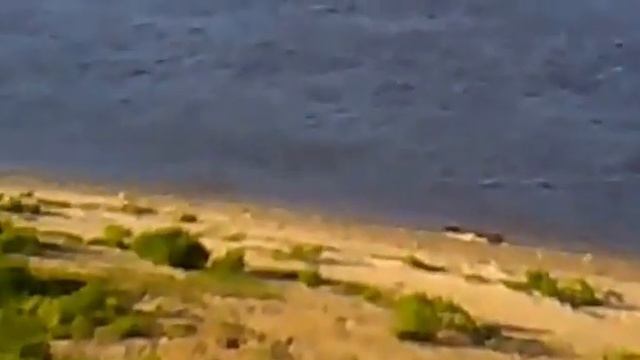 интересный случай на набережной Оки г Муром смотреть онлайн