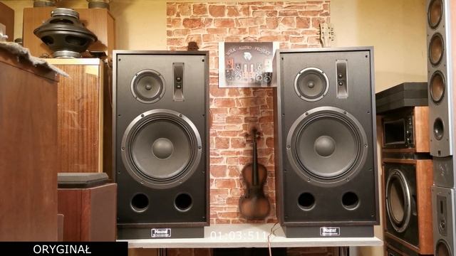 Tuning kolumn głośnikowych, Magnat Transpuls 1500 - part 1/2 [Wilk-Audio-Projekt] смотреть онлайн