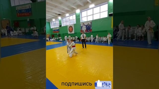 Соревнования Джиу Джитсу по Архангельской области смотреть онлайн