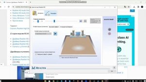 Инстуркция по установке Realtek и решение проблем с не отображением видеокарты