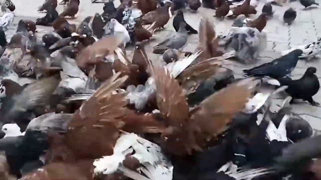 секреты,явления нашей планеты! смотреть онлайн