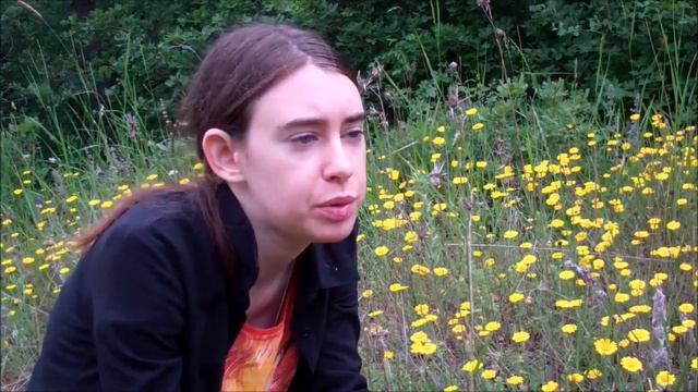 11 июня день рождение Ориби Камм Пирра смотреть онлайн