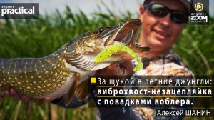 За щукой в летние джунгли_ виброхвост-незацепляйка с повадками воблера. Алексей Шанин Ang.Practical
