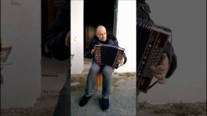 гармонь Терехина Г.Н.