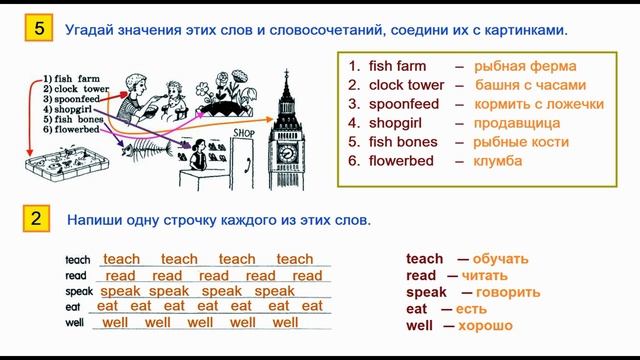 ГДЗ Английский язык 3 класс Страница.24 Рабочая тетрадь Афанасьева Михеева смотреть онлайн