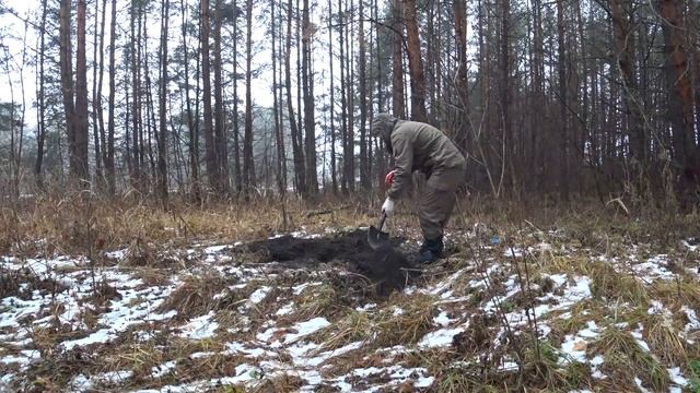 ОГРОМНЫЕ НАХОДКИ С ЛАТУНЬЮ,ЧТО ЖЕ ЗДЕСЬ БЫЛО? КОП МЕТАЛЛОЛОМА ВЫВОЗИМ ПАРТИЮ ИЗ ЛЕСА... смотреть онлайн
