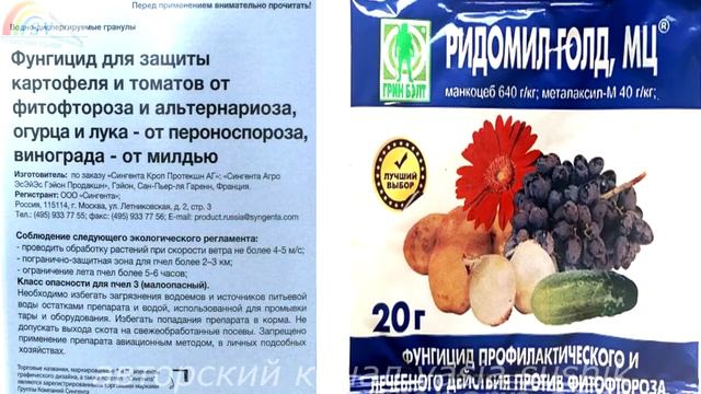 Чем обработать виноград до цветения от болезней и вредителей.Болезни винограда и их лечение смотреть онлайн