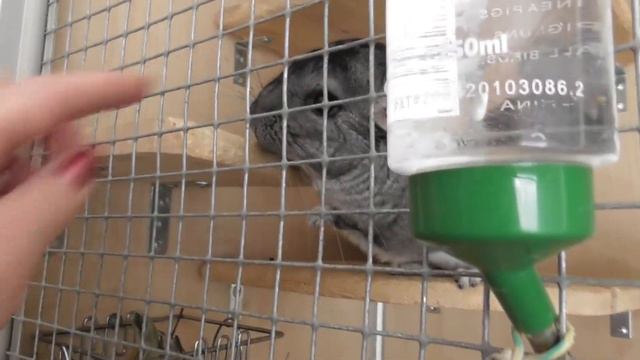 ЛЮБИМКИ ПОКА /БУДУ СКУЧАТЬ смотреть онлайн