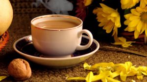 Позитив Джаз ☕ Музыка Нежного Утреннего Кофе, Босса Нова Февральское пианино для хорошего дня