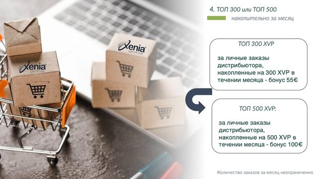 Маркетинг - план Xenia Global