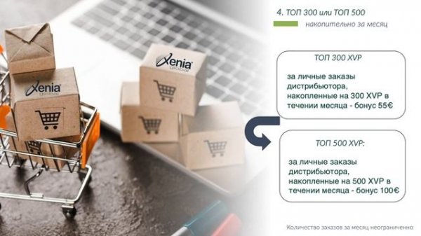 Маркетинг - план Xenia Global