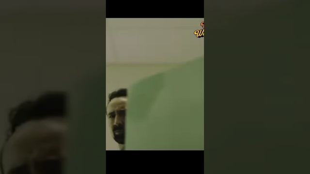 страна чудес Вилли #страначудесвилли смотреть онлайн