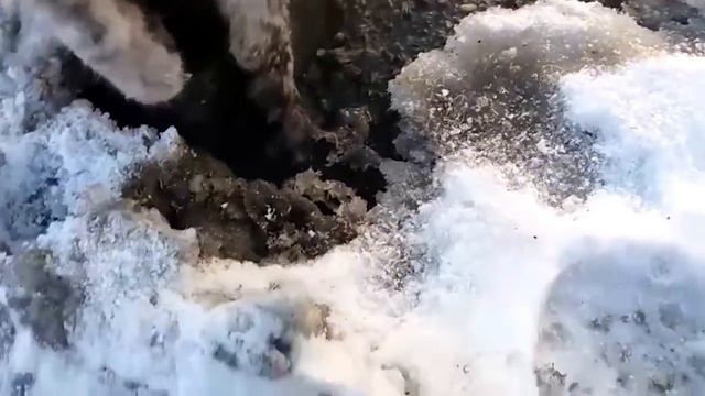 Спасение кота примерзшего в лед. смотреть онлайн