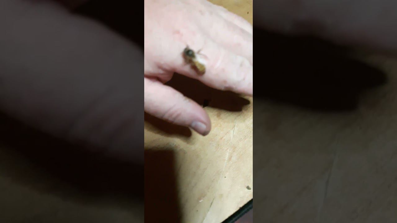 21 июня 2024 г.