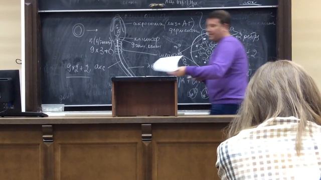 Лекция Гистология | №15 #6 Мужская половая смотреть онлайн