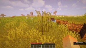 КАК ПОСТАВИТЬ ШЕЙДЕРЫ НА SODIUM 1.16.5 МАЙНКРАФТ?