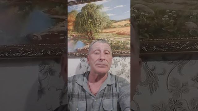 Медведь, за все ответь! смотреть онлайн