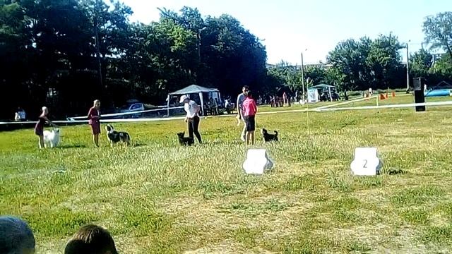 Юный Хендлер смотреть онлайн