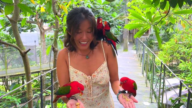 🇮🇩Bali Bird Park & Bali Reptile Park: Family friendly interactive fun! смотреть онлайн