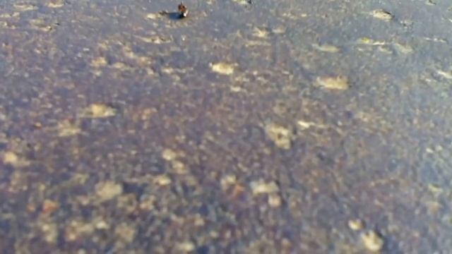 Валим боком :3 смотреть онлайн