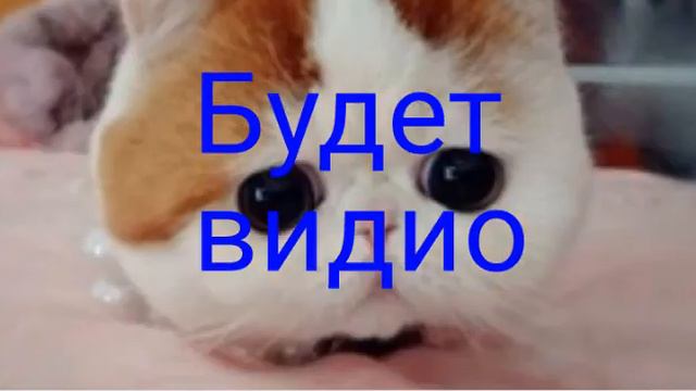 Сегодня не будет видео :-( смотреть онлайн