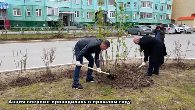 Сад памяти 26.05.2021 смотреть онлайн