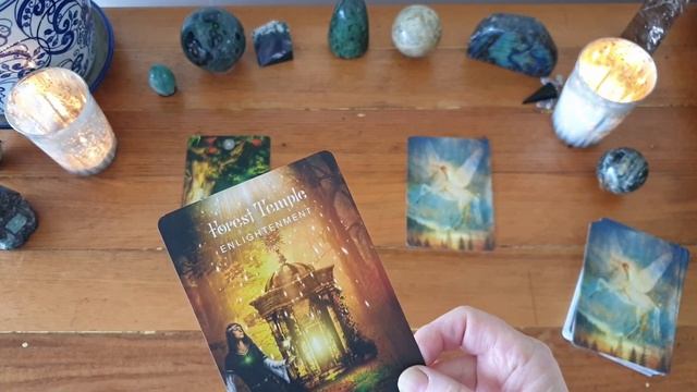 3 Card Oracle Spread using the Sacred Forest Oracle смотреть онлайн