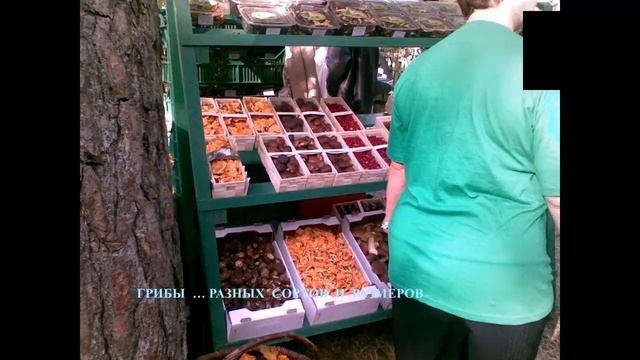 ИнетПродюс: Николаюс Пузаковас ТАЛЛИН 10 марта смотреть онлайн