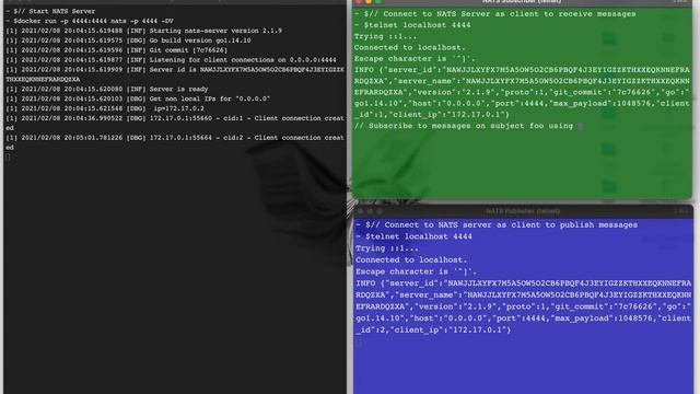 NATS Protocol Demo смотреть онлайн