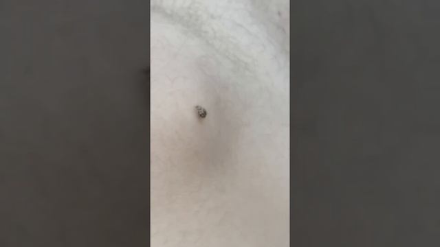 Муха цеце смотреть онлайн