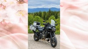 Пан Америка. Харлей