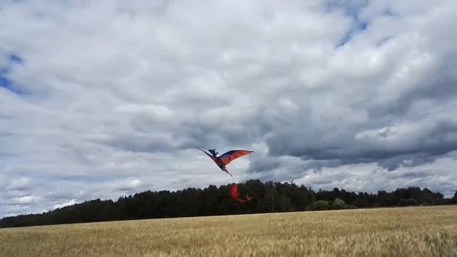 Воздушный змей Птеродактиль смотреть онлайн