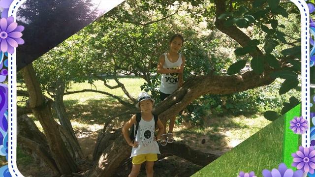 День рождение Диляры смотреть онлайн