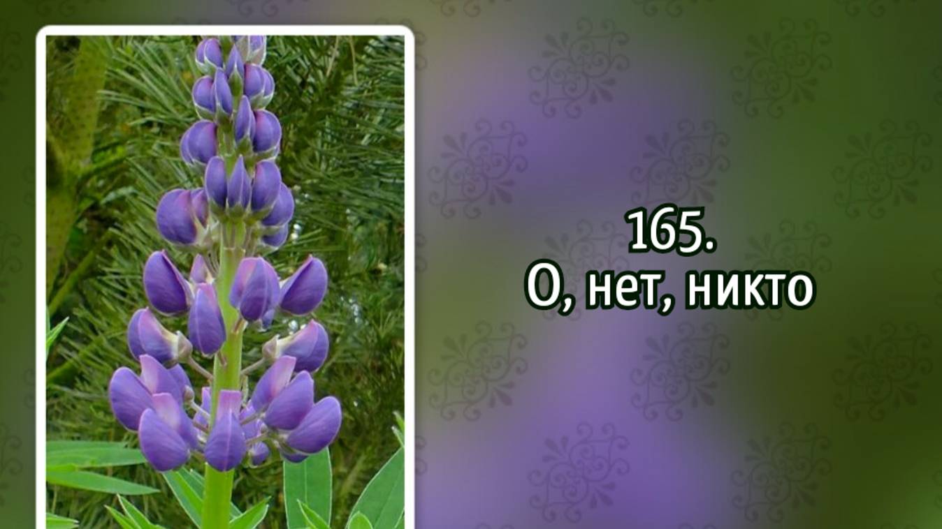 Гимны надежды 165 О, нет, никто (-) смотреть онлайн