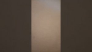 FLARX Ручка-Стилус(с фонариком) из фикс прайса