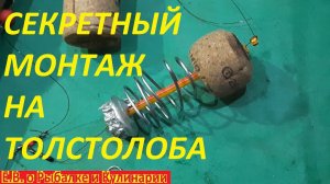 УЛОВИСТЫЙ СЕКРЕТНЫЙ МОНТАЖ ДЛЯ ЛОВЛИ ТОЛСТОЛОБА СВОИМИ РУКАМИ,ОПЫТНЫЕ РЫБАКИ ДЕРЖАТ ЕГО В СЕКРЕТЕ