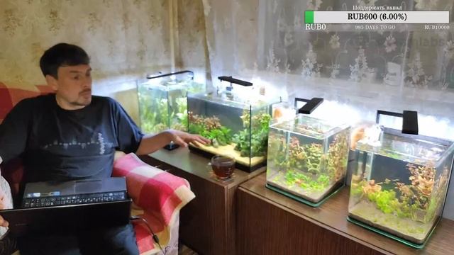 Подмены воды в аквариуме, чистка фильтров и сифонка грунта. Ненаучный стрим. смотреть онлайн