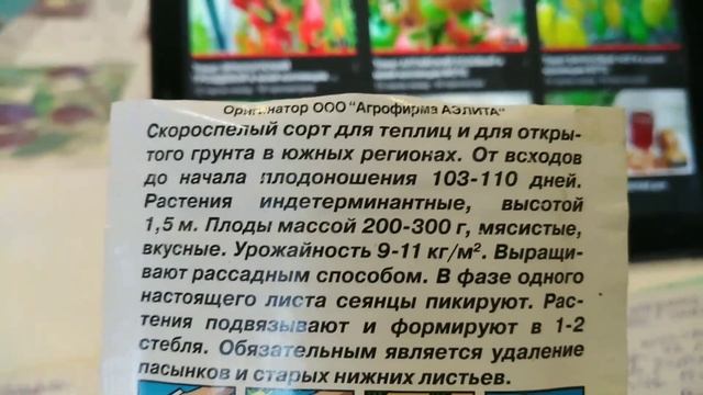 Томат ПУЗАТА ХАТА в моей коллекции. ФОТО. смотреть онлайн